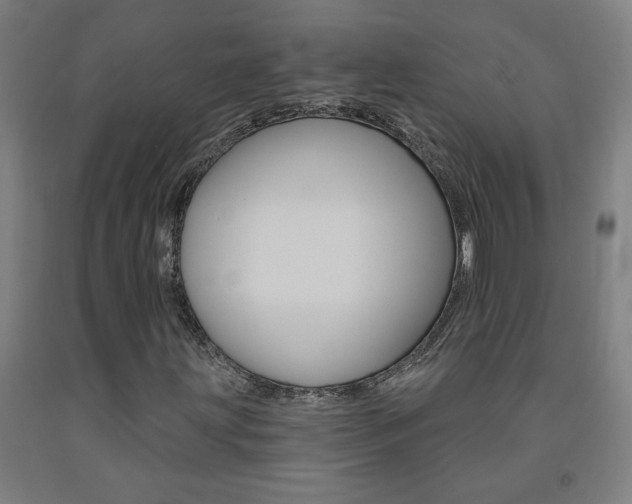 X0000093141203200709261050