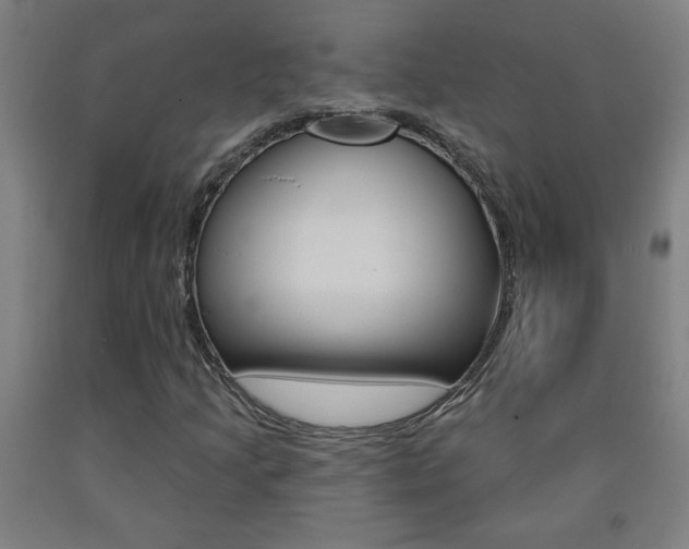 X0000093141205200709261050