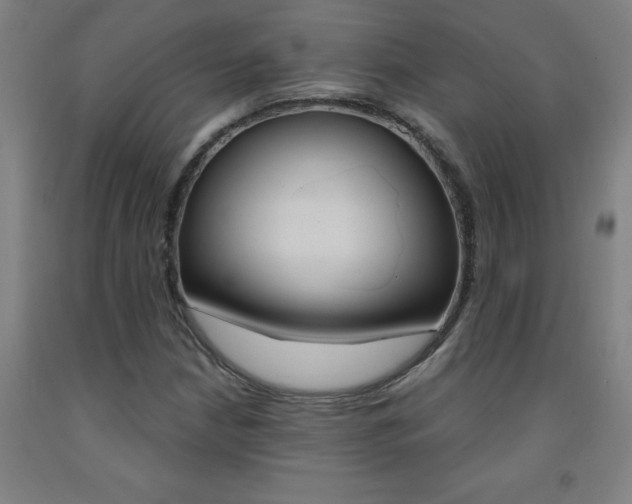 X0000093141210200709261050