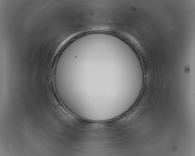 X0000093141212200709261050