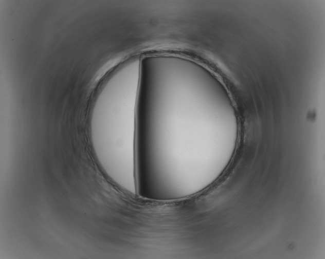 X0000093141213200709261050