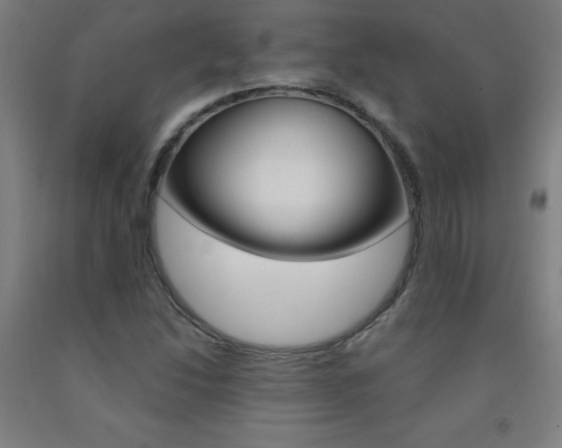 X0000093141214200709261050