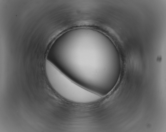 X0000093141217200709261050