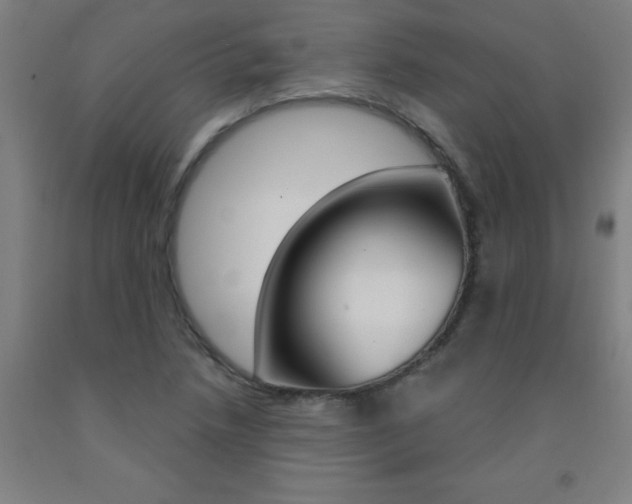 X0000093141218200709261050