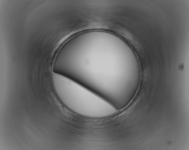 X0000093141220200709261050