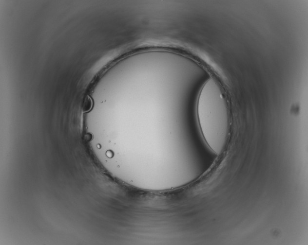 X0000093141221200709261050