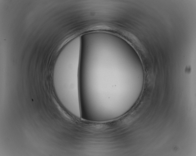 X0000093141225200709261051