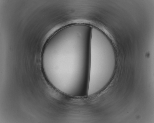 X0000093141229200709261051