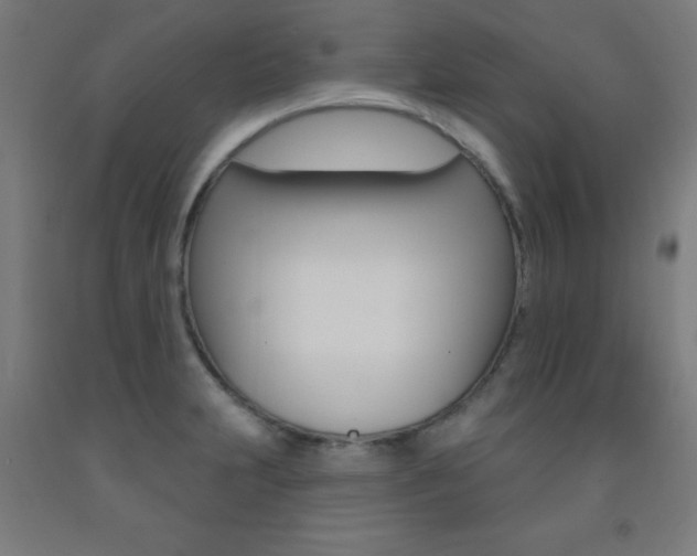 X0000093141231200709261051