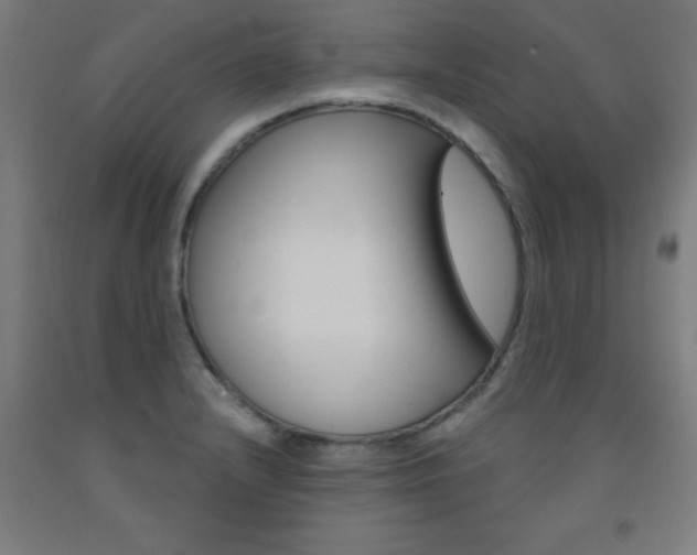 X0000093141232200709261051
