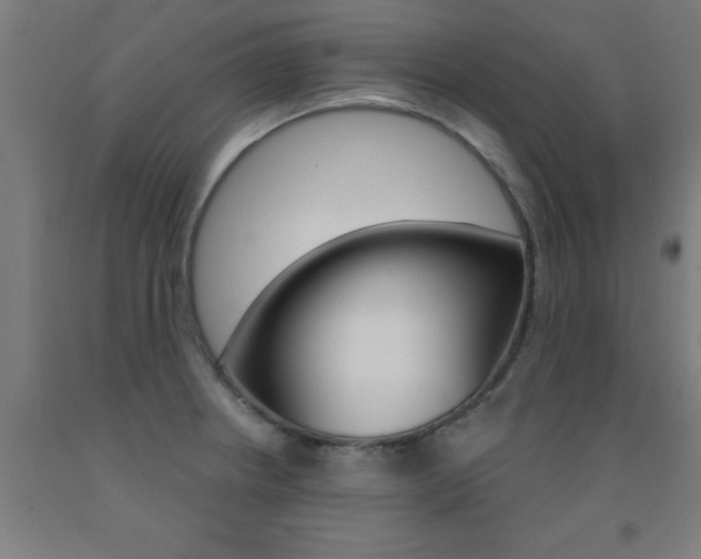 X0000093141234200709261051