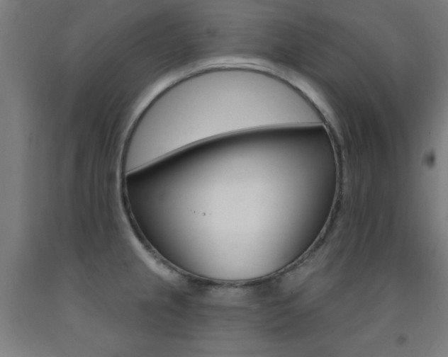 X0000093141237200709261051