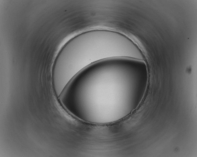 X0000093141238200709261051