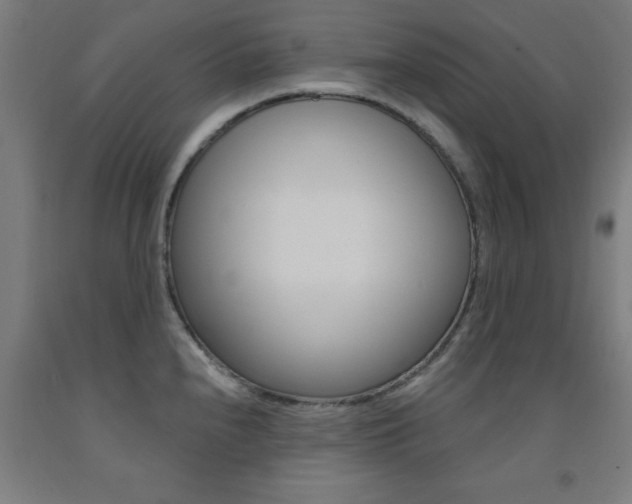 X0000093141240200709261051