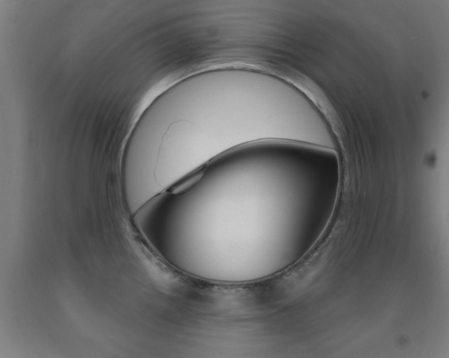 X0000093141242200709261051