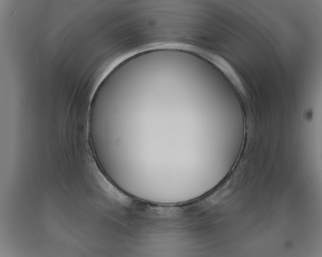 X0000093141244200709261051