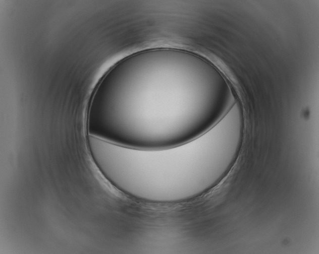 X0000093141246200709261051