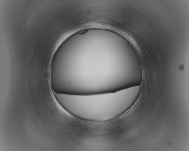 X0000093141247200709261051