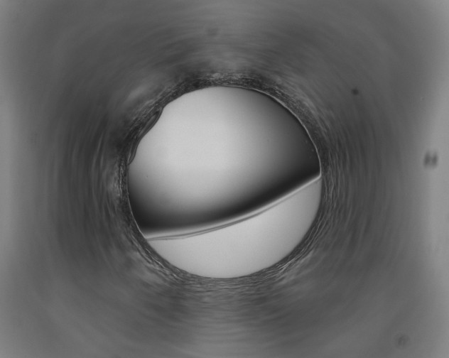 X0000093141250200709261050