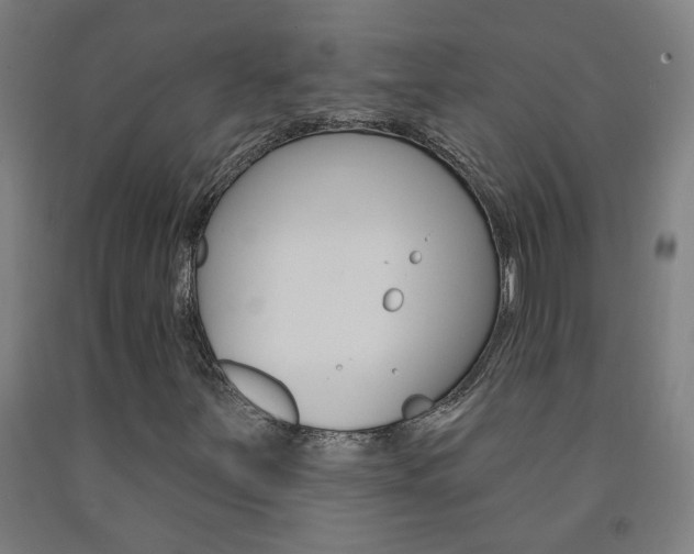 X0000093141251200709261050