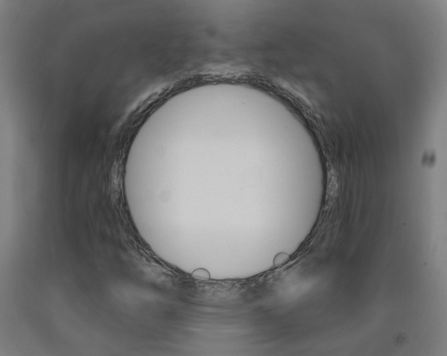 X0000093141254200709261050