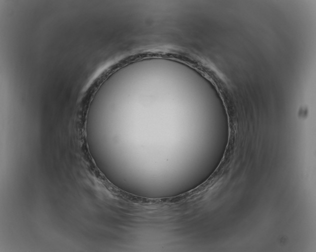 X0000093141256200709261050