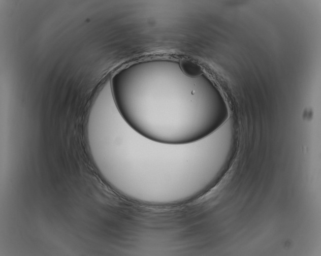 X0000093141257200709261050