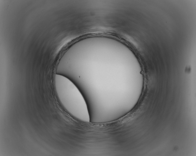 X0000093141259200709261050