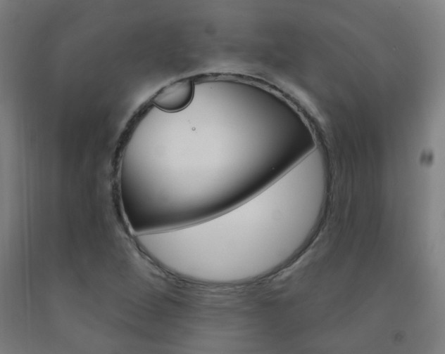 X0000093141264200709261050