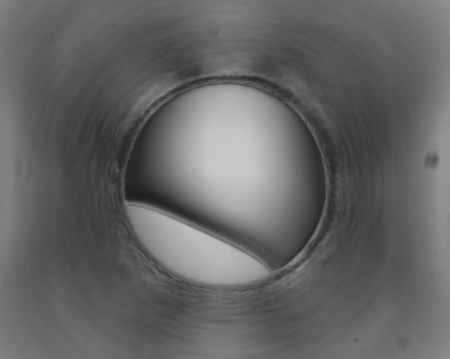 X0000093141265200709261050