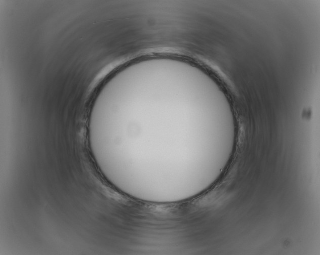 X0000093141266200709261050