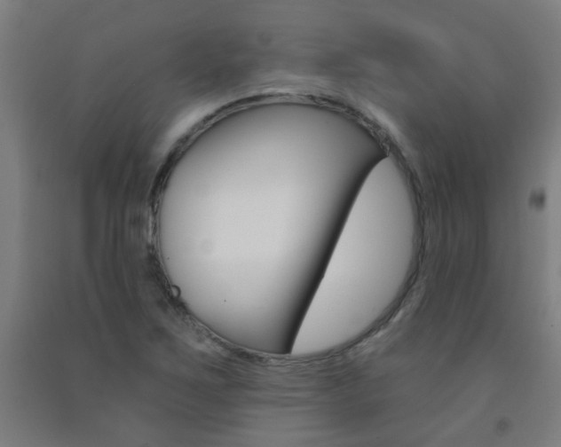 X0000093141267200709261050