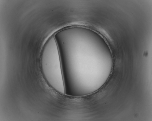 X0000093141268200709261050