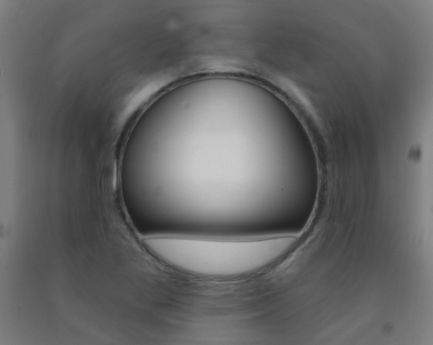 X0000093141269200709261050