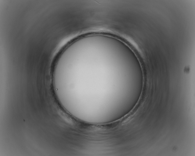X0000093141270200709261050
