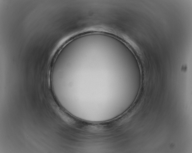 X0000093141272200709261050