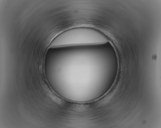 X0000093141273200709261050