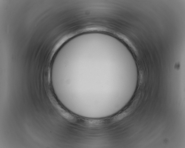 X0000093141274200709261050