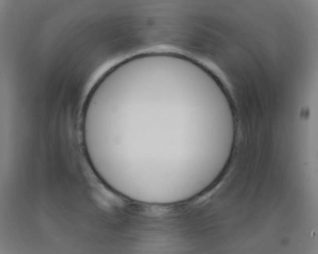 X0000093141278200709261050