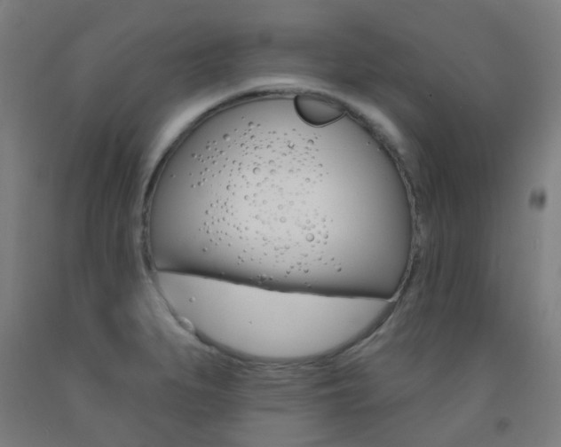 X0000093141279200709261050