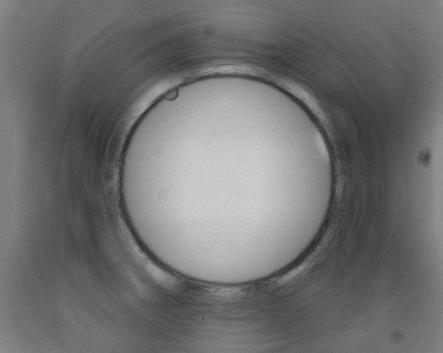 X0000093141282200709261049