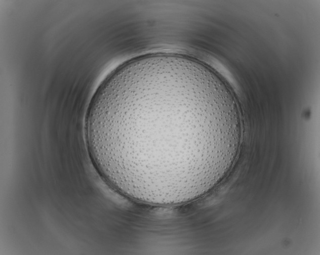 X0000093141283200709261049