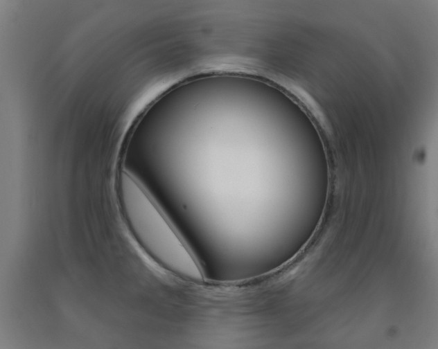 X0000093141285200709261049