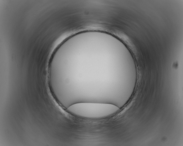 X0000093141286200709261049