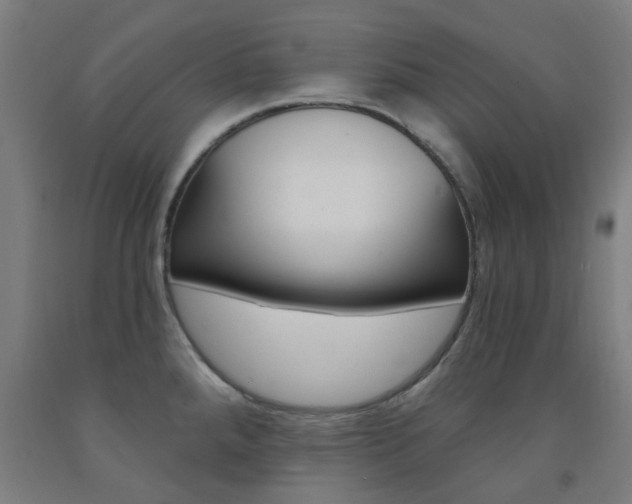 X0000093141288200709261049