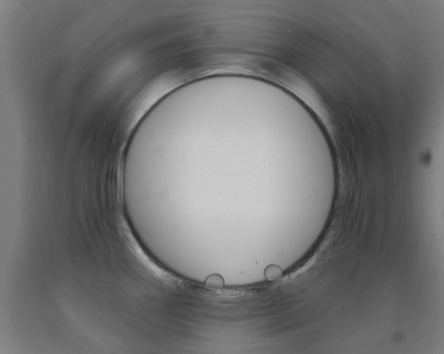 X0000093141290200709261049
