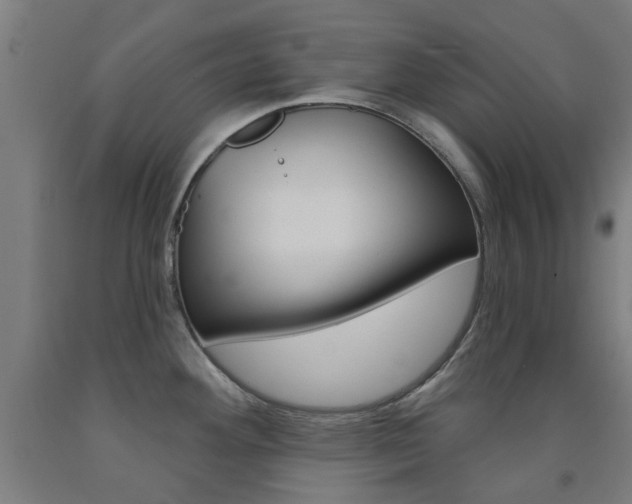 X0000093141292200709261049
