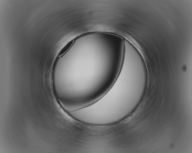 X0000093141293200709261049
