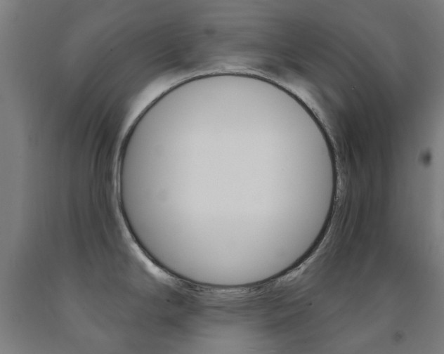 X0000093141294200709261049