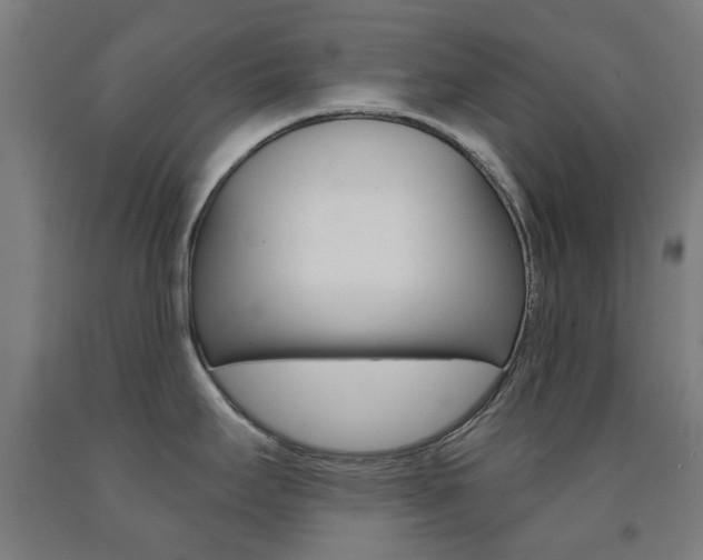 X0000093141295200709261049